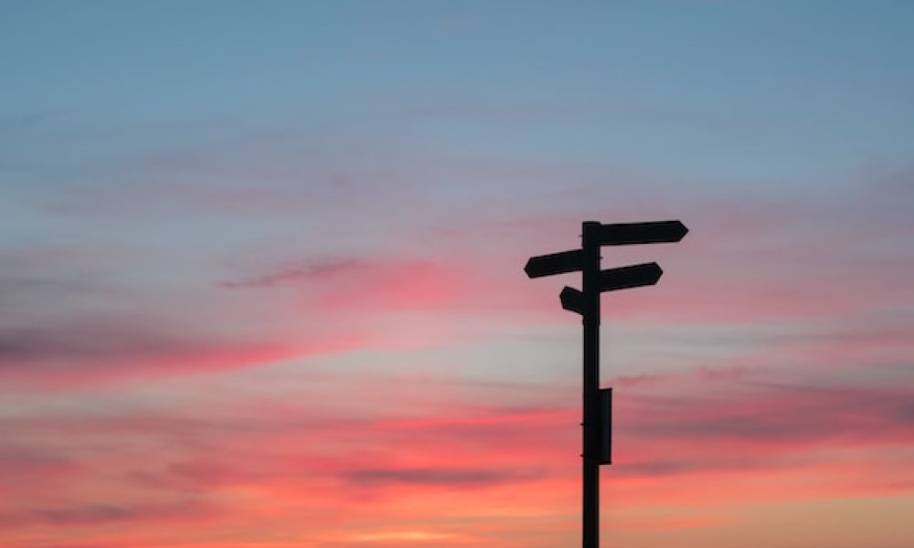 Are You a Pioneer or a Settler?